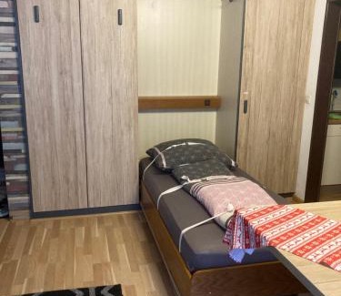 Menzenschwand-Hinterdorf Apartamento | Gemütliche Ferienwohnung in Sankt Blasien
