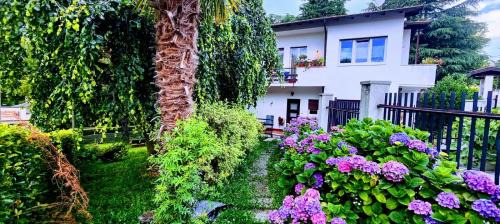 Agra Apartamento | Gemütliche Ferienwohnung in Agra