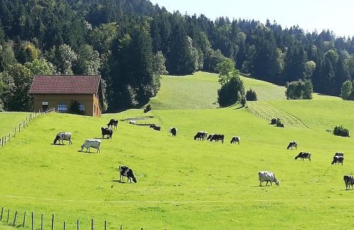 Alberschwende Apartamento | Gemütliches 2 Bettzimmer mit Gemeinschaftsbad und kleiner Küche