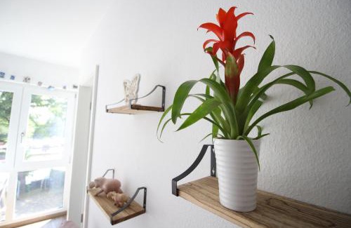 Rhein-Erft-Kreis District Apartamento | Gemütliches Apartment bei Köln