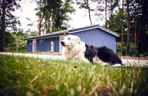 Oberhavel Casa | Gemütliches Ferienhaus für bis zu 4 Personen-Urlaub machen, wo der Weihnachtsmann zu Hause ist