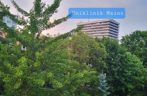 Oberstadt Casa | Gemütliches Privatzimmer an der Uniklinik Mainz. Sehr zentral