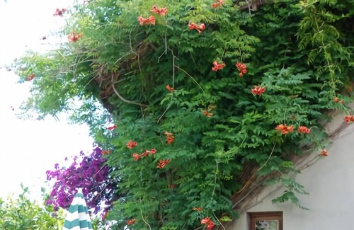 Dalyan City Center Villa | Gemini Cottage