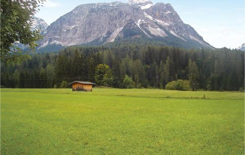 Ehrwald Apartamento | Gemuetliche Ferienwohnung