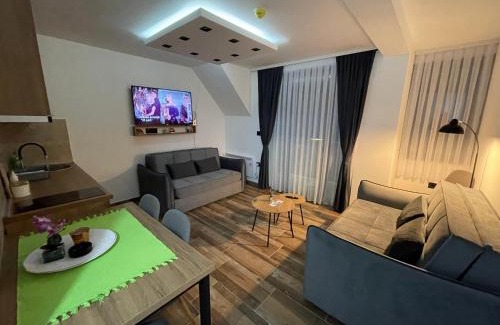 Central Serbia Apartamento | Gencian resort