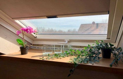 Buchloe Apartamento | Gene review Buchloe