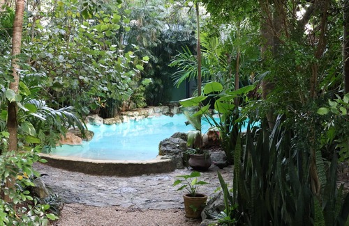 Ek Balam Apartamento | Genesis Eco Oasis