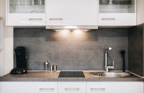 Fernesiechen Apartamento | Gentilly Apartments Freiberg