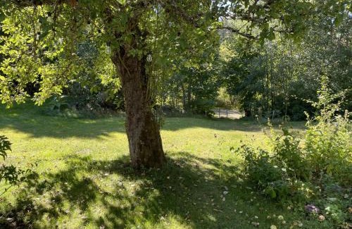 Rimbo Casa | Genuine 100 year old countryside cottage