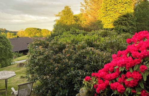 Sandyhills Cabina | Genuine log cabin, Solway Coast. Sleeps 6. Pet friendly. Perfect getaway.