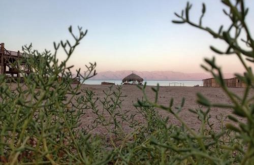 Dahab Otro | Geo Tribe