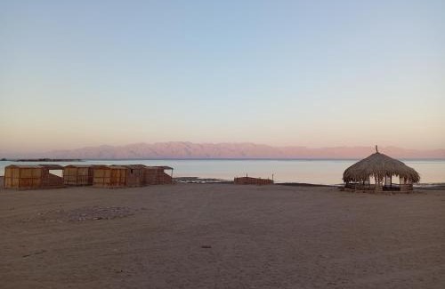 Dahab Otro | Geo Tribe