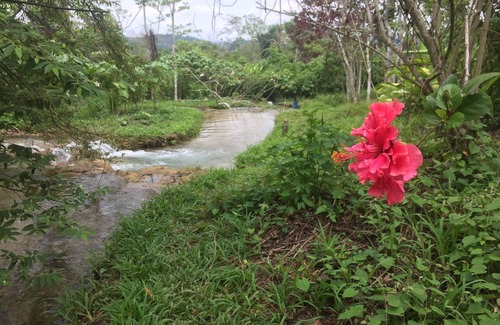 Lacanjá Cabina | Cúpulas Geodésicas En La Selva
