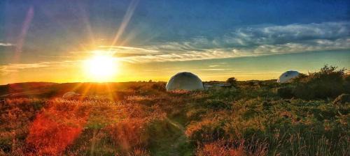 Llanybri Casa | Geodome Glamping with sea views near Pendine
