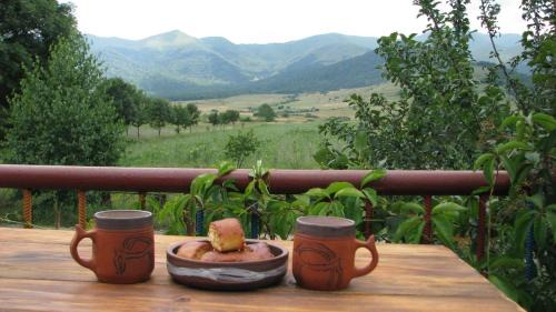 Armenia Casa | Geologist's House