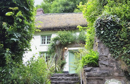 Bucks Mills Cabaña | George's Cottage - HSSS