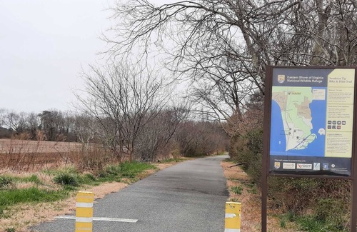 Cape Charles Casa | Get Away From It All With 4 bedrooms and Two Full Baths