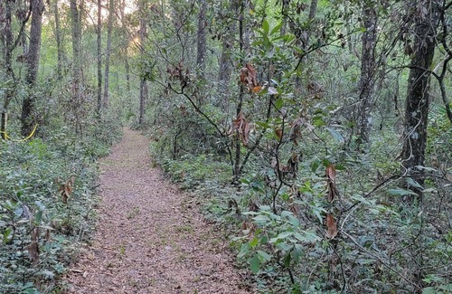 Old Town Alquiler De RV | Get away to a nice primitive campsite 1 mile from the swaunnee river.