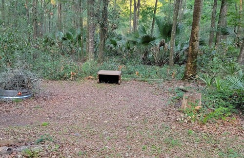 Old Town Alquiler De RV | Get away to a nice primitive campsite 1 mile from the swaunnee river.