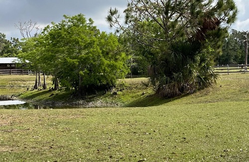 Englewood Complejo | Get away to the Country on a lake enjoying the wild life and horses.