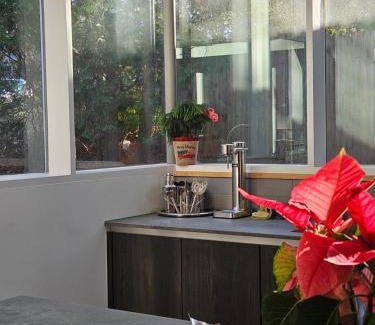 Wheaton-Glenmont Casa | Get Ready for Spring Mid-Century Modern Relaxing, Retreat