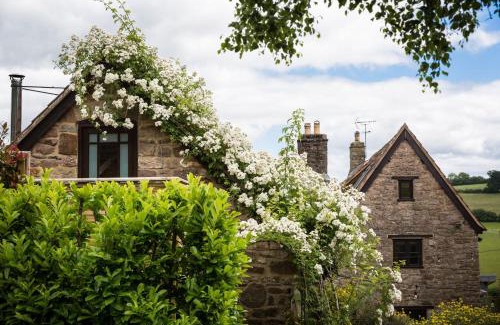 Cinderford Casa | Get-Togethers with function room