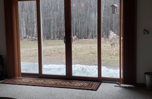 Big Bay Cabina | Get your "U.P" on with this perfect woodsy home near all kinds of fun