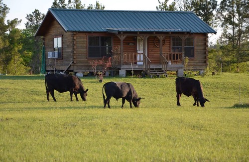 Huntsville Cabina | Caba de madera con estanque de 2 acres