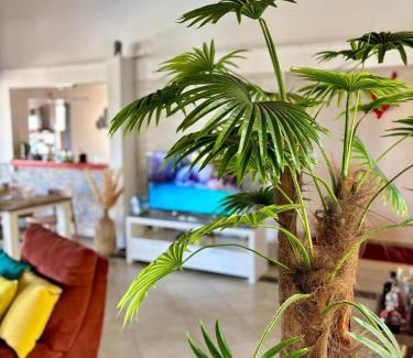 Caribbean Islands Villa | Getting ready