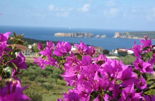 Pylos Casa | Gianna's Guesthouse & Cave Studio