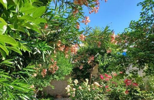 Palazzolo Acreide Historic Centre Casa | Giardino al Corso