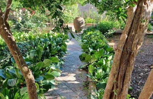 Palazzolo Acreide Historic Centre Casa | Giardino al Corso