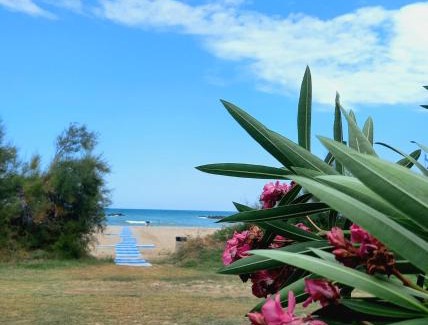 Casabianca di Fermo Apartamento | Giardino delle rose