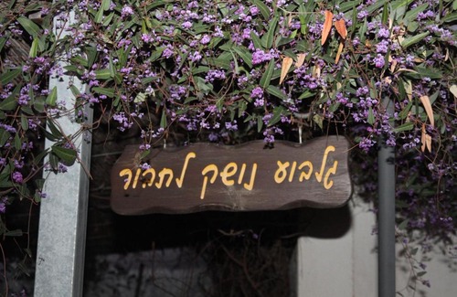 Beit HaShita Cabina | Gilboa Noshek Latavor