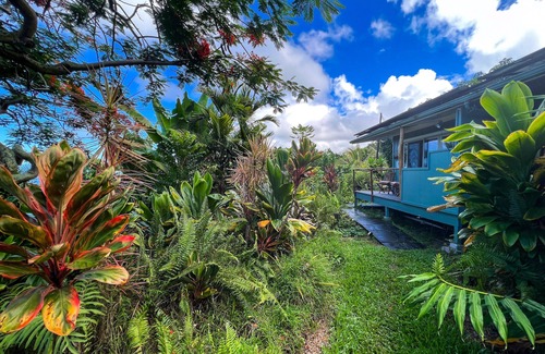 Kealakekua Apartamento | Retiro de la granja de Gingerhill. Comuna con la naturaleza en el sur de Kona.