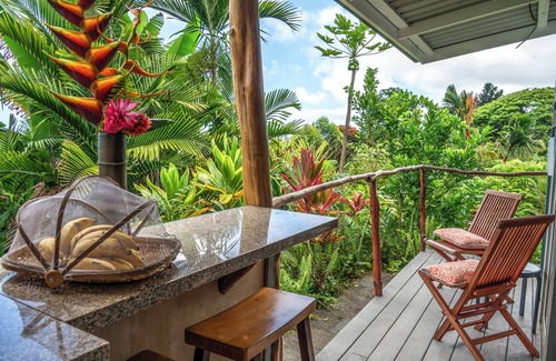 Kealakekua Apartamento | Retiro de la granja de Gingerhill. Comuna con la naturaleza en el sur de Kona.