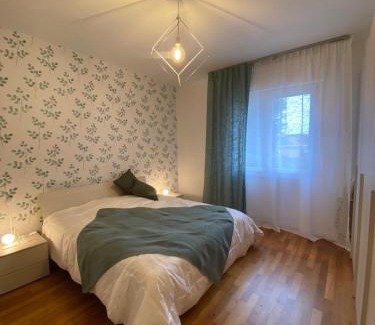 Masera di Padova Apartamento | Giotto 2 Guesthouse