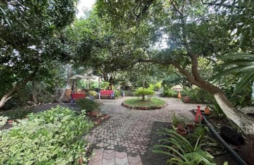 Talala Casa | GIR KUTIR Farm and Resort