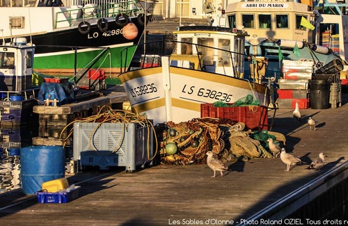 Olonne-sur-Mer Cabaña | Les Blés Dorés-Gîte-Villa-Habitación con desagüe