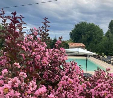 Saint-Nicolas-de-la-Grave Apartamento | GITE Abeille-Soleil