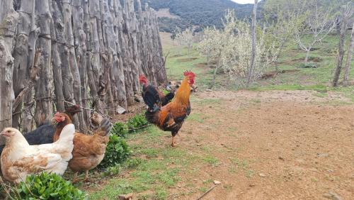 Bab Boudir Casa | Gite Ain Bechar