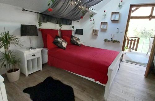 Drulingen Cama Y Desayuno | Gite avec SPA privé