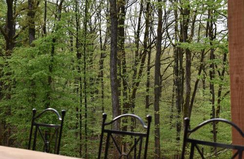 Philippeville Chalet De Esquí | Gite cocon dans la forêt
