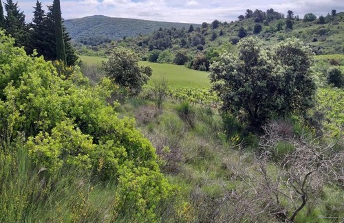 Montirat Casa | Gite dans les collines