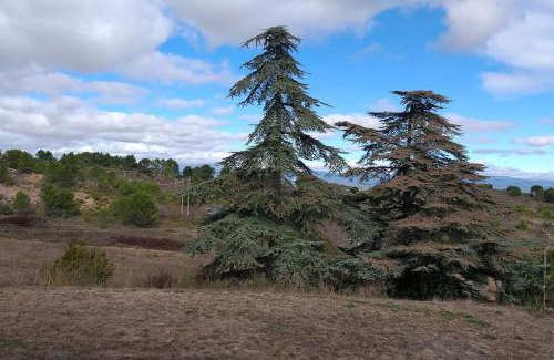 Montirat Casa | Gite dans les collines