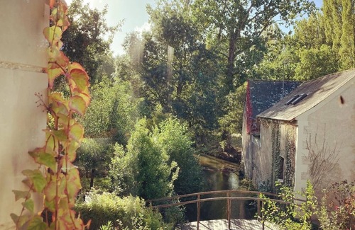 Saint-Melaine-sur-Aubance Casa | Gite in the heart of the vineyards in Anjou