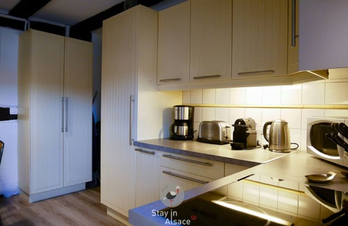 Colmar Centre Ville Cabaña | Gîte-Apartamento-Baño con bañera-Vista a la Ciudad