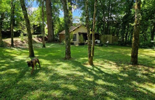 Sainte-Alvere Casa | Gite L'Atelier studio pp en perigord noir piscine