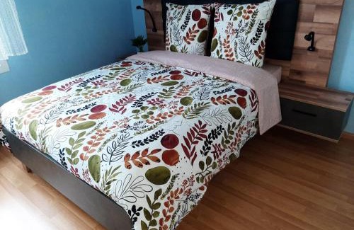 Quartier Saint-Leon Apartamento | GITE LA HOUBLONNIÈRE STANDING et CONFORT à COLMAR