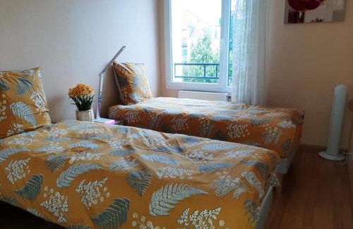 Quartier Saint-Leon Apartamento | GITE LA HOUBLONNIÈRE STANDING et CONFORT à COLMAR
